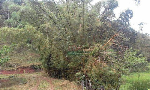 Imagem 8 de 11 de Chácara Com 2 Dormitórios À Venda, 64000 M² Por R$ 650.000 - Bairro Do Retiro - São José Dos Campos/sp - Ch0229