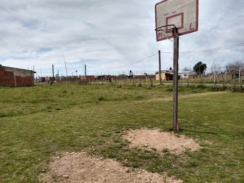 Imagen 22 de 23 de Terreno En Venta En Domselaar