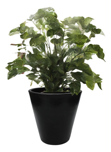 Maceta Maceton Edenika Grande Moderna Plastico Exterior 80cm