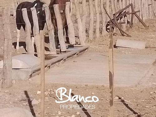 Terreno Campo En Venta En La Reforma, Limay Mahuida, La Pampa