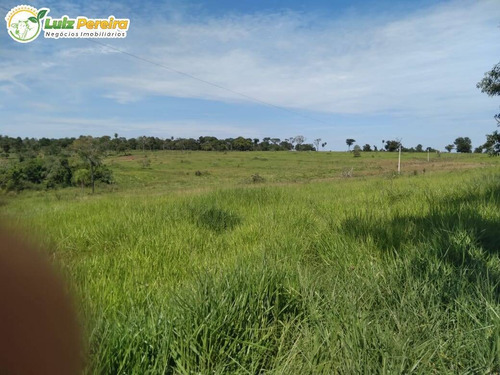 Imagem 7 de 8 de Fazenda À Venda Em Dois Irmãos Do Buriti - Ms - 375 Hectares - 2132