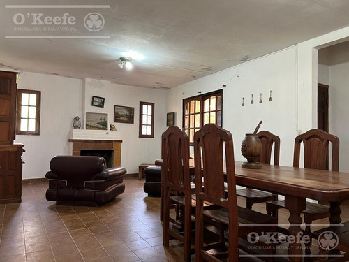 Imagen 5 de 26 de 100 Has En Punta Indio - Excelente Acceso - Ideal Haras!