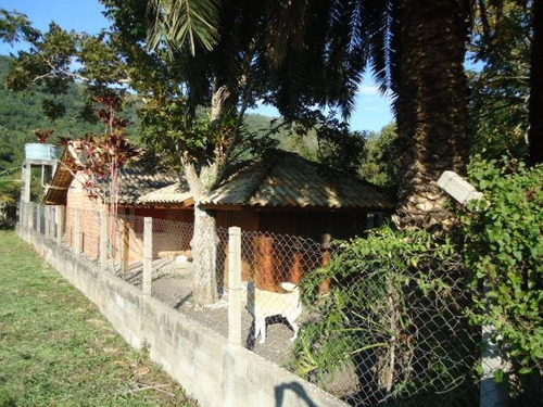 Imagem 5 de 7 de Terreno Comercial À Venda, Cachoeira Do Bom Jesus, Florianópolis. - Te0203