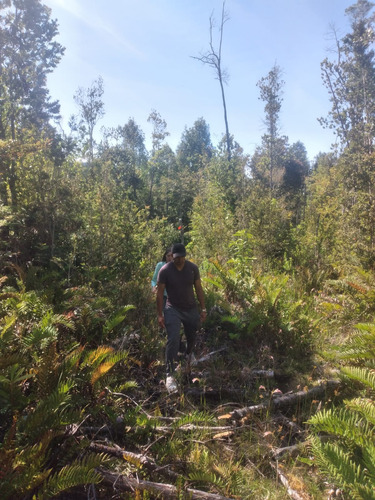 Venta Parcelas De 2 Hectareas Ideal Para Inversionistas