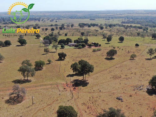 Imagem 4 de 4 de Fazenda À Venda Em Terenos - Ms - De 230 Hectares (pecuária) - 1789
