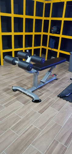 Banco Para Abdominales Premium Ovalado Gym / Gimnasio Msi