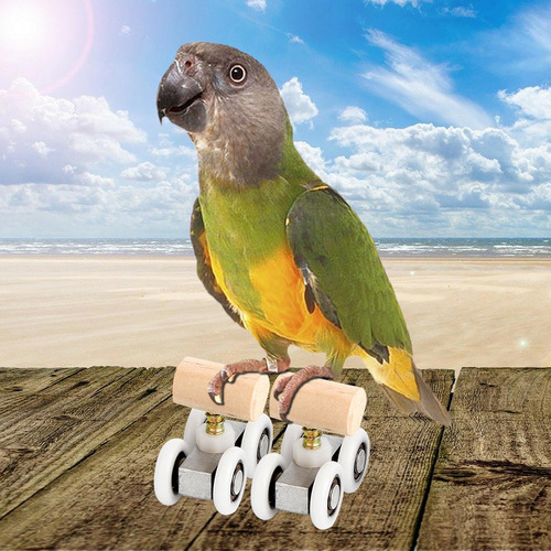 2 Mini Parrot Trick Roller Ice Skates Pet 2,1x4,2 Cm