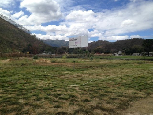 Imagen 12 de 12 de Terreno En Venta En La Arc, El Consejo Dvm 22-15689
