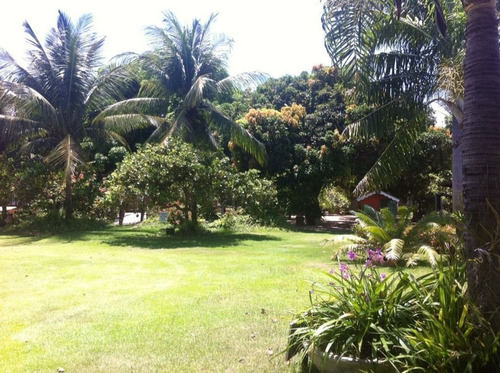 Imagem 10 de 22 de Chácara À Venda, 15000 M² Por R$ 1.500.000,00 - Zona Rural - Macaíba/rn - Ch0014