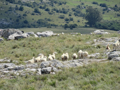 Campo En Venta En La Coronilla (ref: Atm-4270)