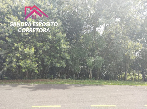 Terreno - Te00302 - 69329887