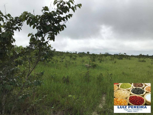 Imagem 5 de 15 de Fazenda À Venda Em Recursolândia - Ms - De 1.041 Alqueirões - 1648