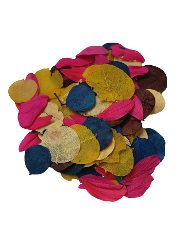 Folha Moeda Mista Variada Seca Natural Decoração- 350 Folhas