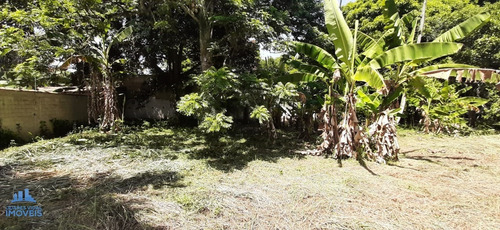 Imagem 5 de 7 de Sítio Em Santa Cândida - Itaguaí - 429 - 69314982