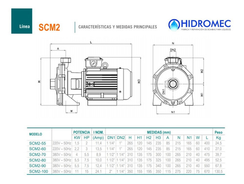 Imagen 2 de 10 de Bomba Doble Turbina Czerweny Scm2-55 Eleva 51 Mts 2hp 220v