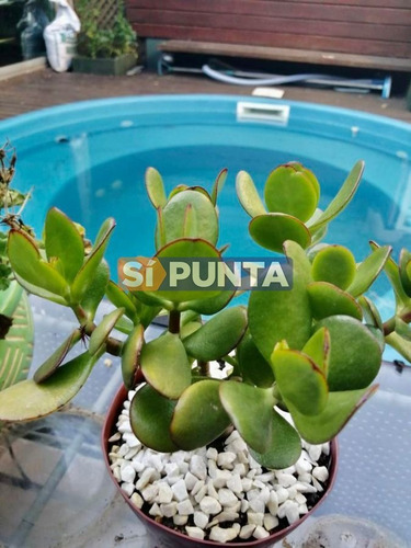 Imagen 21 de 24 de Casa En Pinares A La Venta