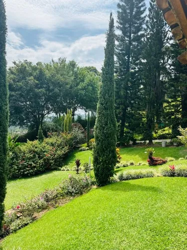 Finca En Venta En El Limonar