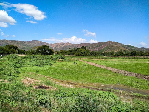 Imagen 25 de 29 de Granja Agrícola Y Porcina Turmero, De 5.7 Hectáreas 04123465023