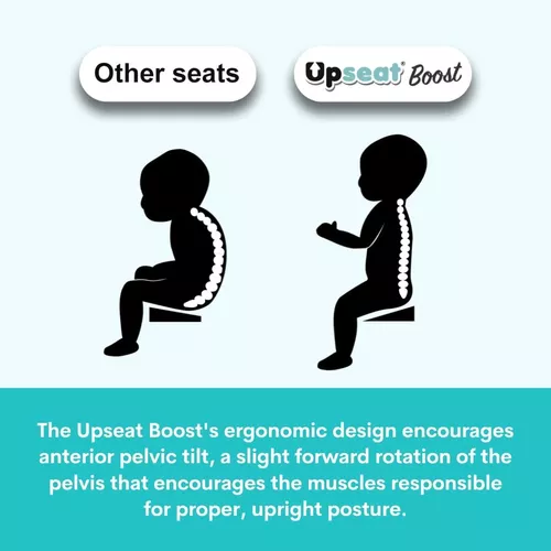  Upseat Boost - Asiento elevador ergonómico para mesa de  comedor, desarrollado con fisioterapeutas para fomentar la postura, arnés  de 3 puntos, fácil de limpiar y gris ligero : Todo lo demás