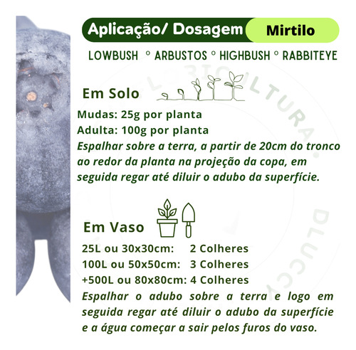 Adubo Fertilizante Pé Muda Mirtilo Arbusto Rabbiteye Lowbush