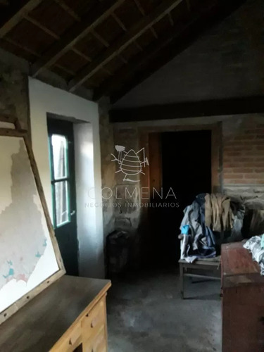 Campo 57 Has Con Casco Antiguo