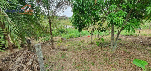 Imagem 19 de 30 de Chácara Escriturada À Venda, 7000 M² Por R$ 450.000 - Chácara Itamarati - Caçapava/sp - Ch0224