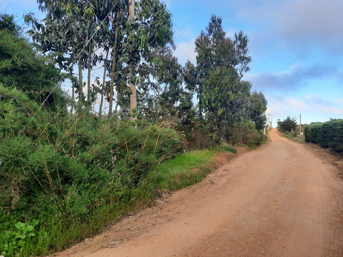 Rebajada, Parcela Fundo Terramar, Algarrobo