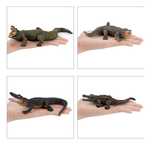 Modelo De Juguete De Cocodrilo De Simulación De 5 Piezas