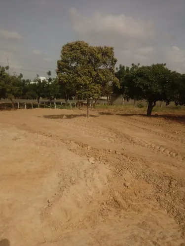 Vendo Lote De 640 M2 En Juan De Acosta
