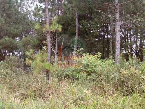 Imagem 6 de 7 de Terreno Em Condominio - Ref: 2733 - V-2733