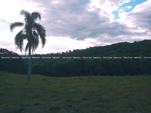 Imagem 8 de 15 de Sítio / Chácara Para Venda Em Mariana Pimentel, Terra Dura - 1259_1-2189697