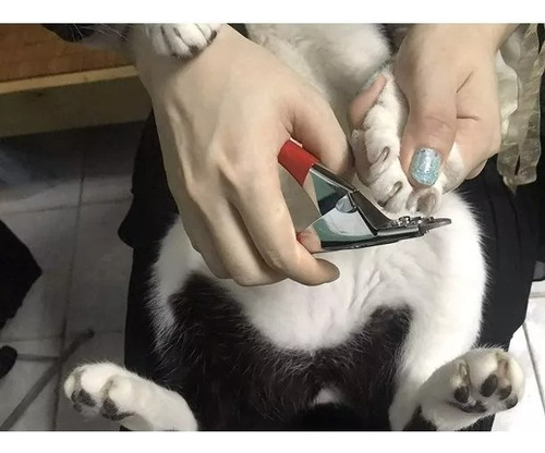 Corta Uñas Mascotas Perro Gato Tipo Guillotina Alicate Lima