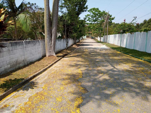 Imagem 21 de 30 de Chácara Em Guararema Excelente Padrão Com 04 Dormitórios, Sendo 03 Suítes, Piscina, Churrasqueira, Pomar, Horta, Área Verde, Vale A Pena Conferir!! - Sp - Ch0001_asi