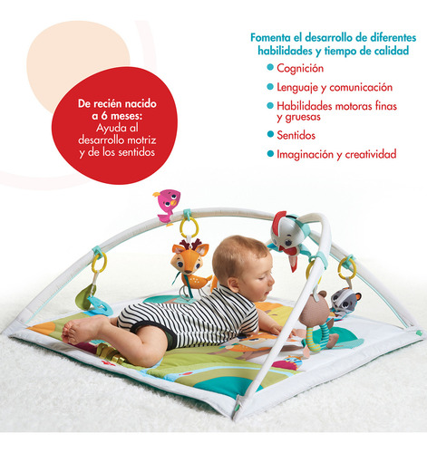 Gimnasio En El Bosque De Lujo Tiny Love