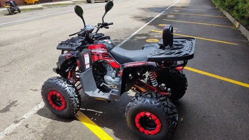 Imagen 11 de 15 de Cuatrimoto Boss 250cc