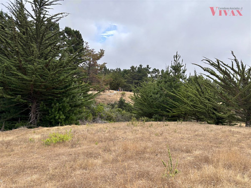 Sitio 647m2 En Cerro, En Venta En Pichilemu Punta De Lobos