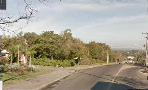 Terreno Em Aberta Dos Morros - Vz3901