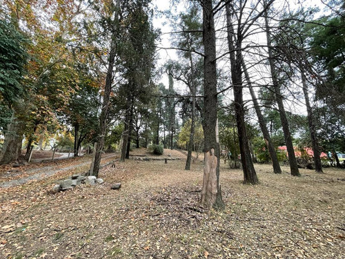 Villa Rivera Indarte - 5000mts2 De Terreno - Recibe Menor