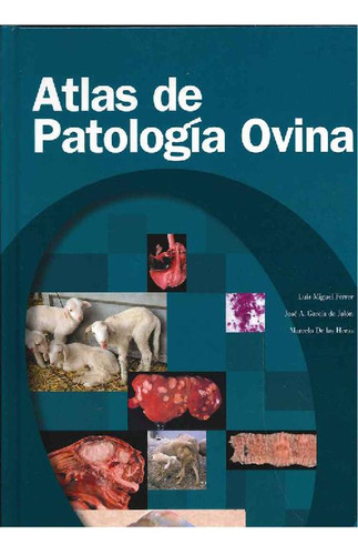 Libro Atlas De Patología Ovina De Luis Miguel Ferrer, Jose A
