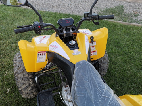 Imagen 7 de 14 de Cuatrimoto Highper Modelo Thor 250cc 4 Cambios + Reversa