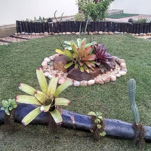 Jardines Verticales Barquisimeto