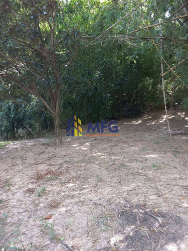 Imagem 14 de 15 de Excelente Chácara No Bairro Parte Norte, Barão De Antonina - 10480