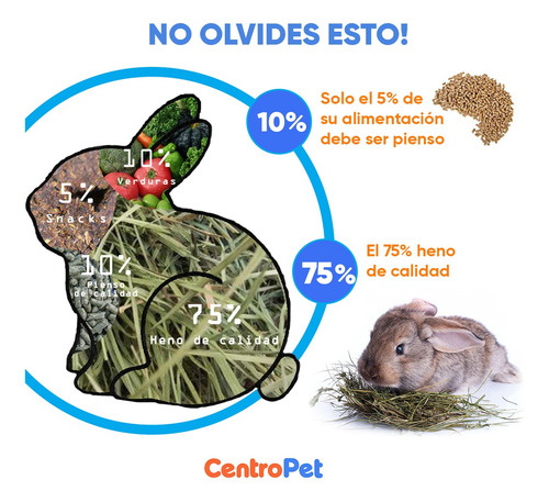 Imagen 4 de 10 de Alimento Balanceado Conejos Mezcla Especial Premium 600gr