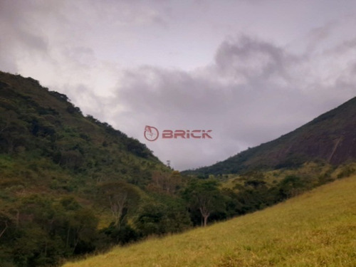 Imagem 19 de 30 de Fazenda Com 1milhão De M² No Vale Alpino. - Fa00024 - 69449575