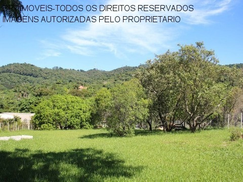 Imagem 1 de 21 de Te00110 - Taipas De Pedra - São Roque - Sp - Te00110 - 33617461