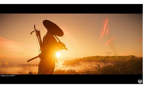 Imagen 5 de 8 de Ghost Of Tsushima Directors Cut Formato Físico Ps4 Original