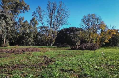 Terreno En Venta En Barrio Los Pinos Iii, Barrio Parque Yei Pora