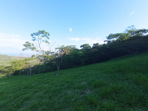 Venta Lote N° 1 En Parcelación Campestre Dapa