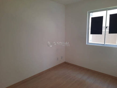 Imagem 12 de 12 de Apartamento Para Alugar - 00248.036