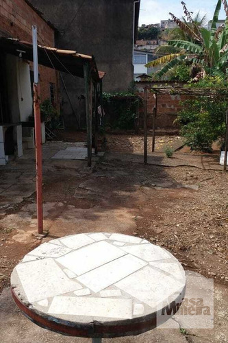 Imagem 7 de 9 de Lote À Venda No Salgado Filho - Código 279755 - 279755
